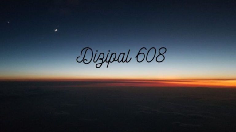 Dizipal 608